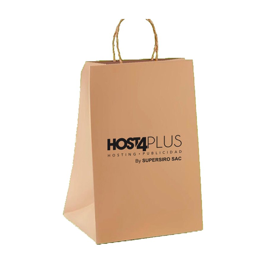 Bolsa Kraft con Asa Twist